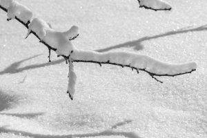 De nieuwe start in een witte wereld